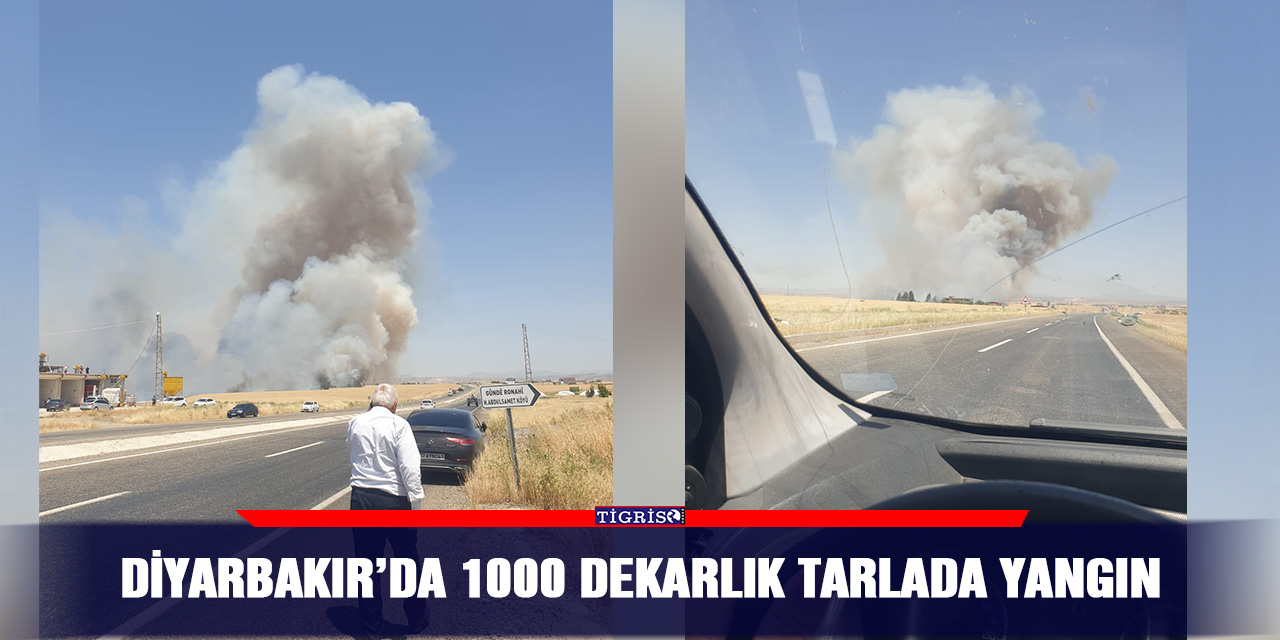 Diyarbakır’da 1000 Dekarlık Tarlada Yangın