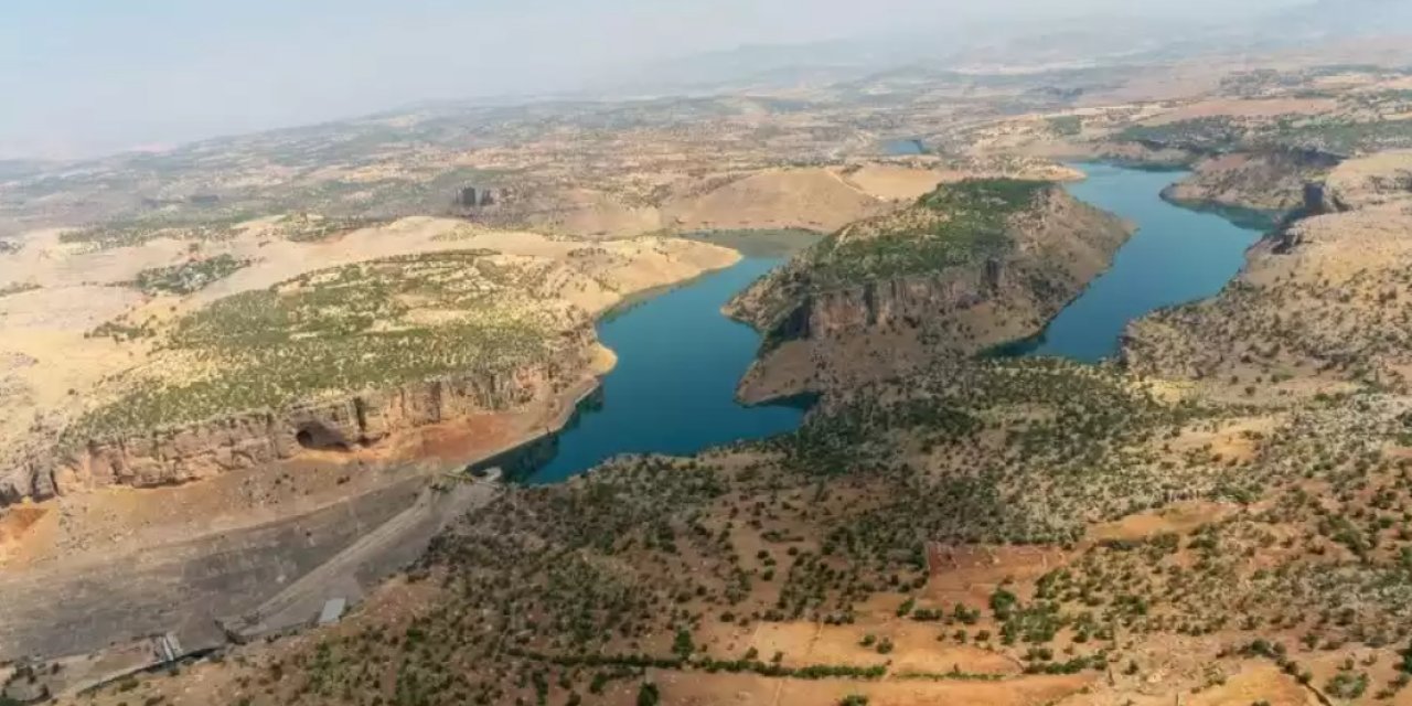 Diyarbakır'da yılanın ısırdığı çoban hayatını kaybetti