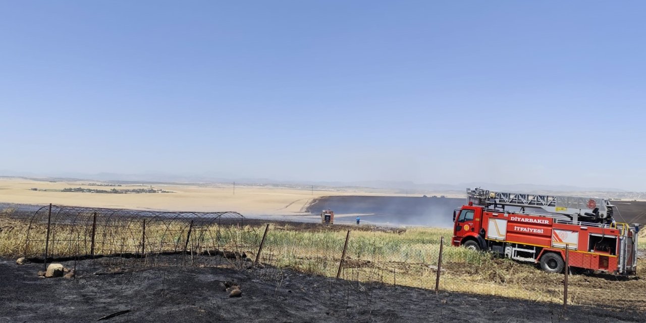 Diyarbakır'da bin dönüm ekili alanı etkileyen yangın söndürüldü
