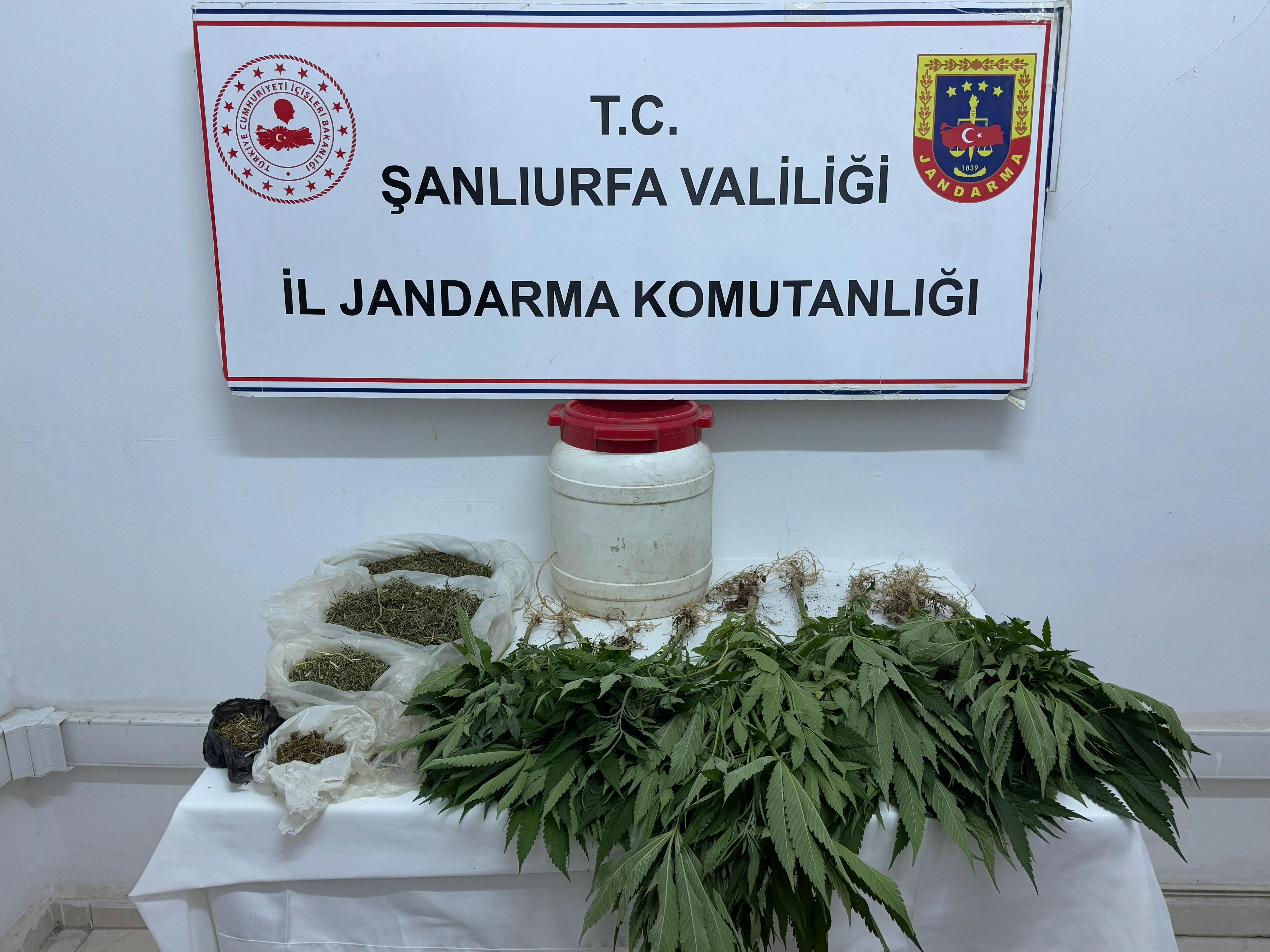 Suruç'ta uyuşturucu ele geçirildi