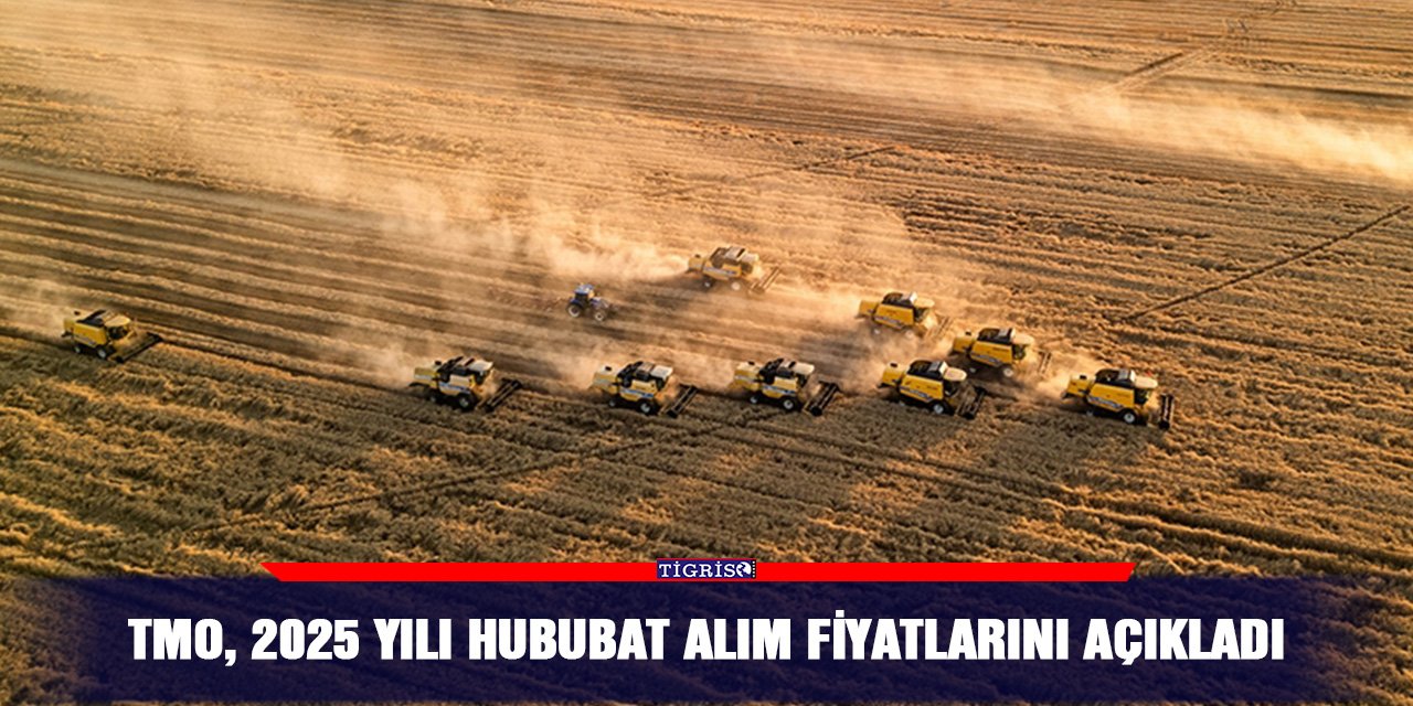 TMO, 2025 yılı hububat alım fiyatlarını açıkladı