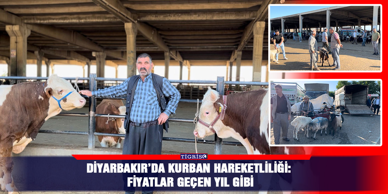 Diyarbakır’da Kurban hareketliliği: Fiyatlar geçen yıl gibi