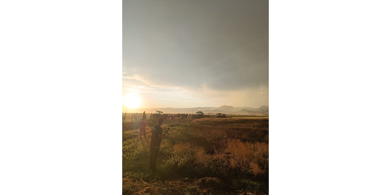 Mardin'de 350 dönüm ekili buğday tarlası yandı