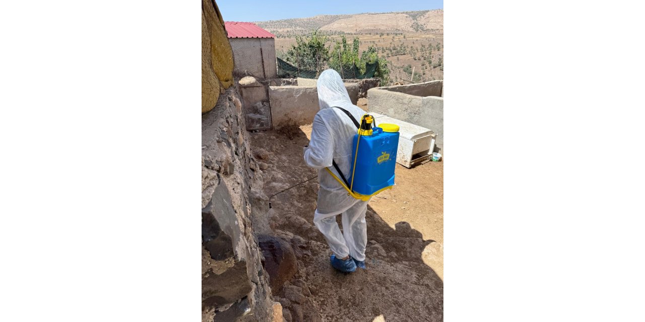 Şırnak'ta bir köy karantinaya alındı