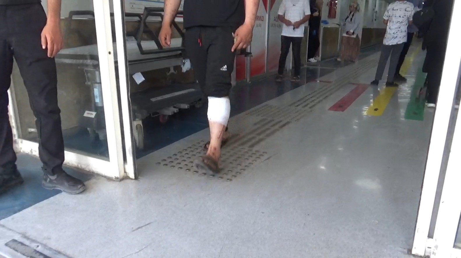 Urfa'da 176 acemi kasap kendini yaraladı