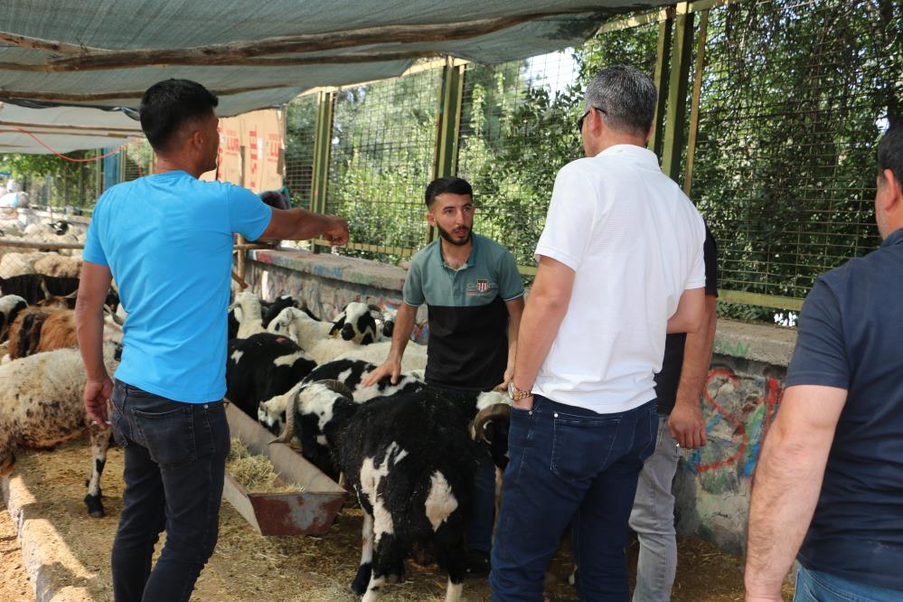 VİDEO - Diyarbakır’da kurban pazarlarında yoğunluk devam ediyor