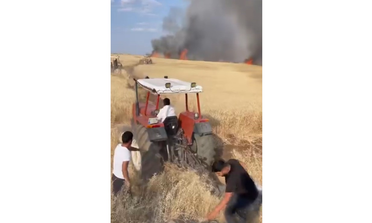 170 dönümlük buğday tarlası küle döndü