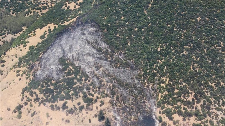 Gaziantep'te çıkan orman yangınında 5 hektar alan zarar gördü