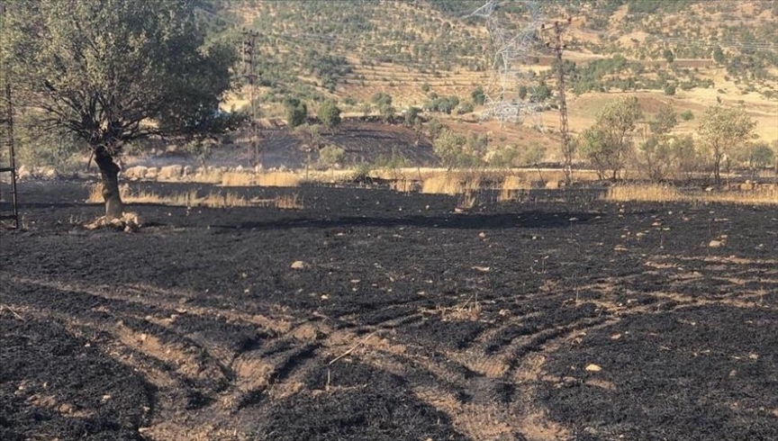 50 dönüm buğday ekili alan yandı