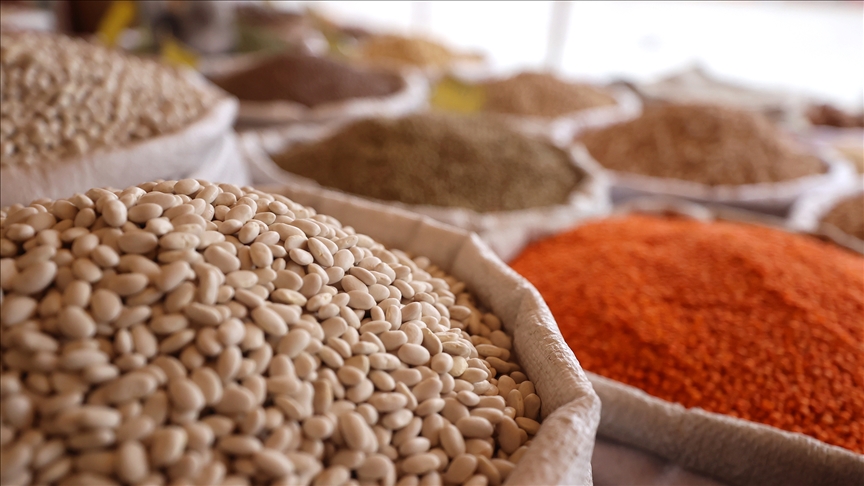Türkiye'nin hububat ihracatı 5,2 milyar dolar