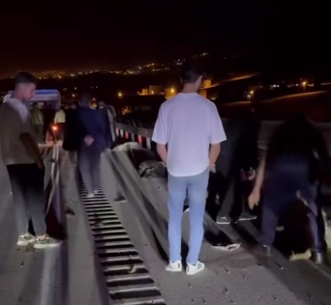 Hafif ticari kamyonet sürüye çarptı; 8 koyun telef oldu