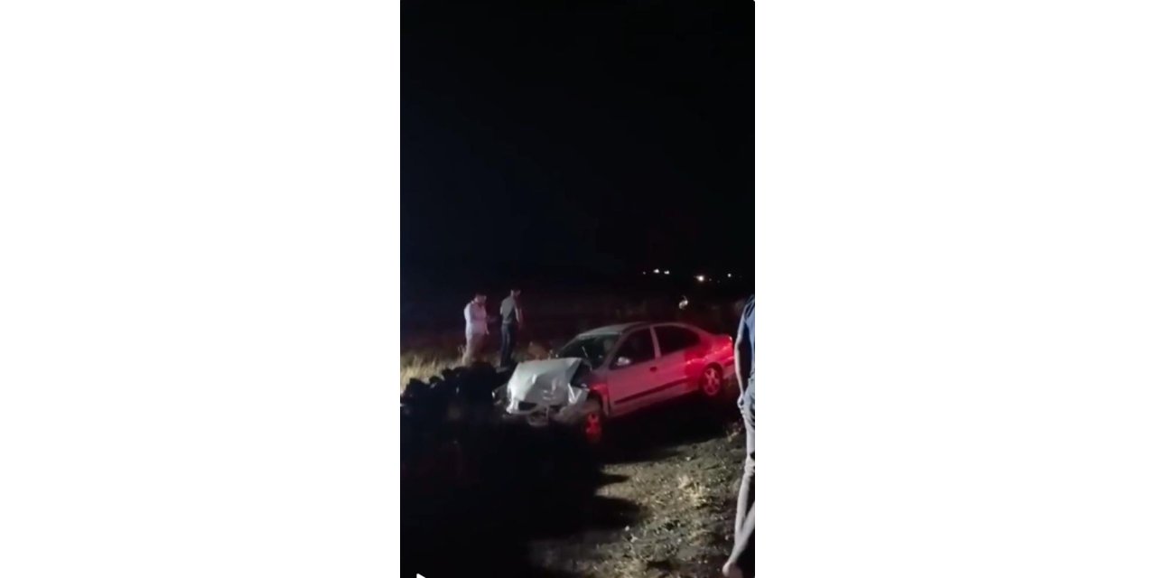 Otomobil şarampole girdi: 2 yaralı