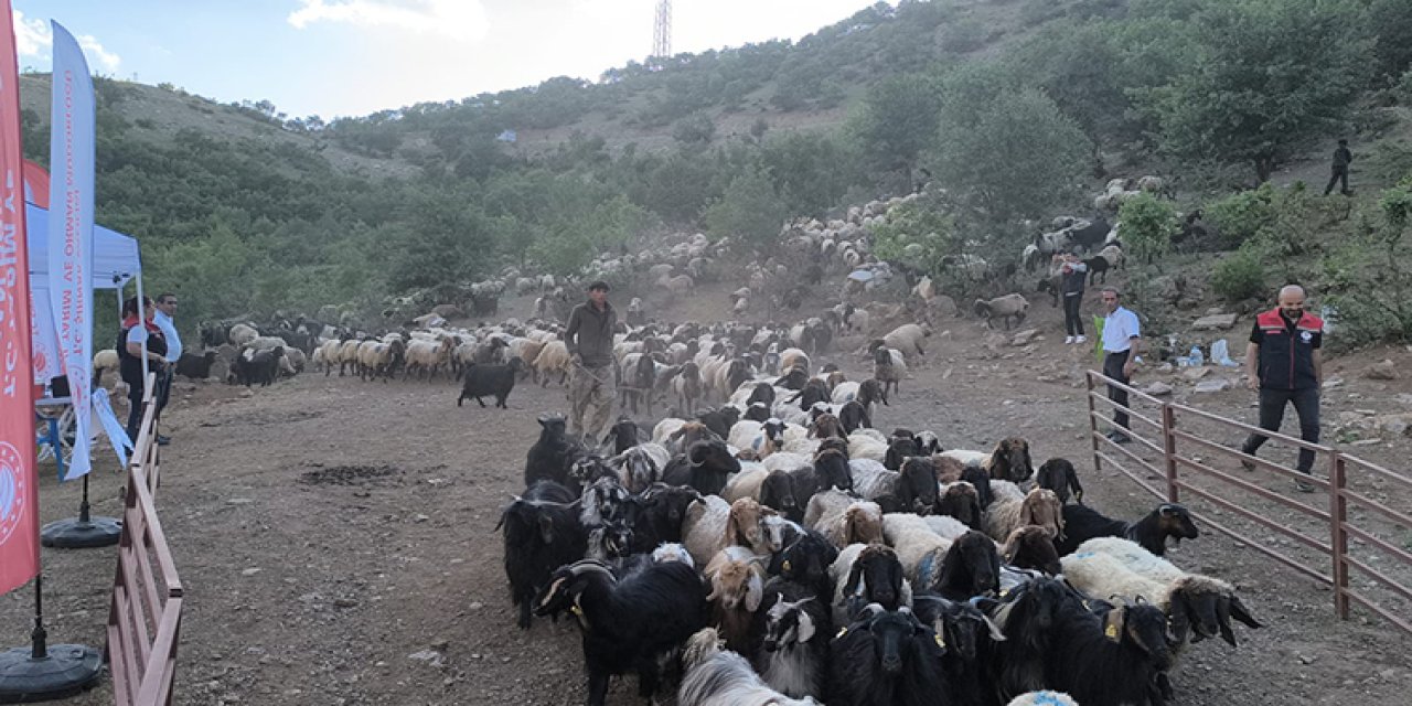 Göçer Yolu Şifa Yolu!