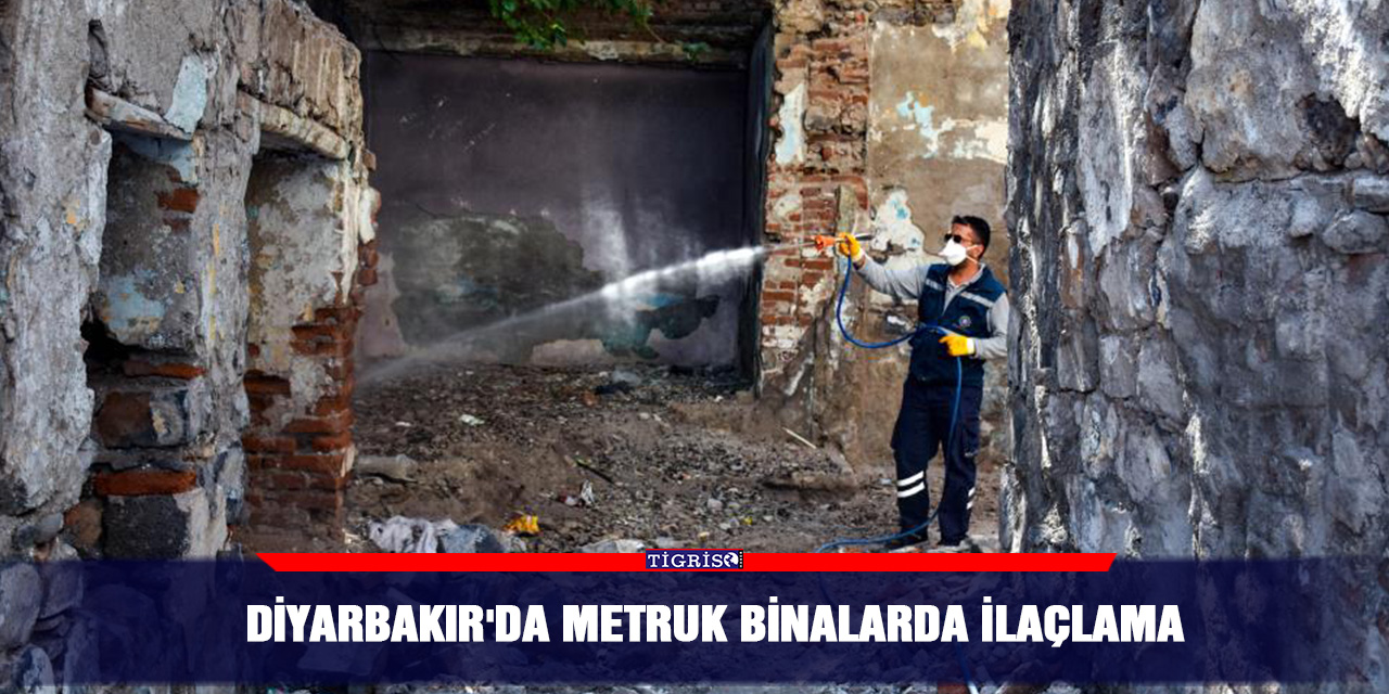Diyarbakır'da metruk binalarda ilaçlama