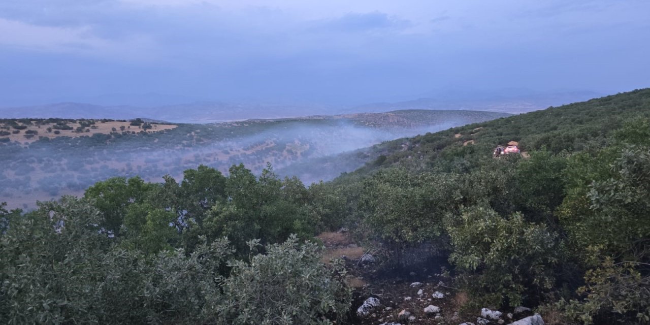 Diyarbakır'da korkutan örtü yangını