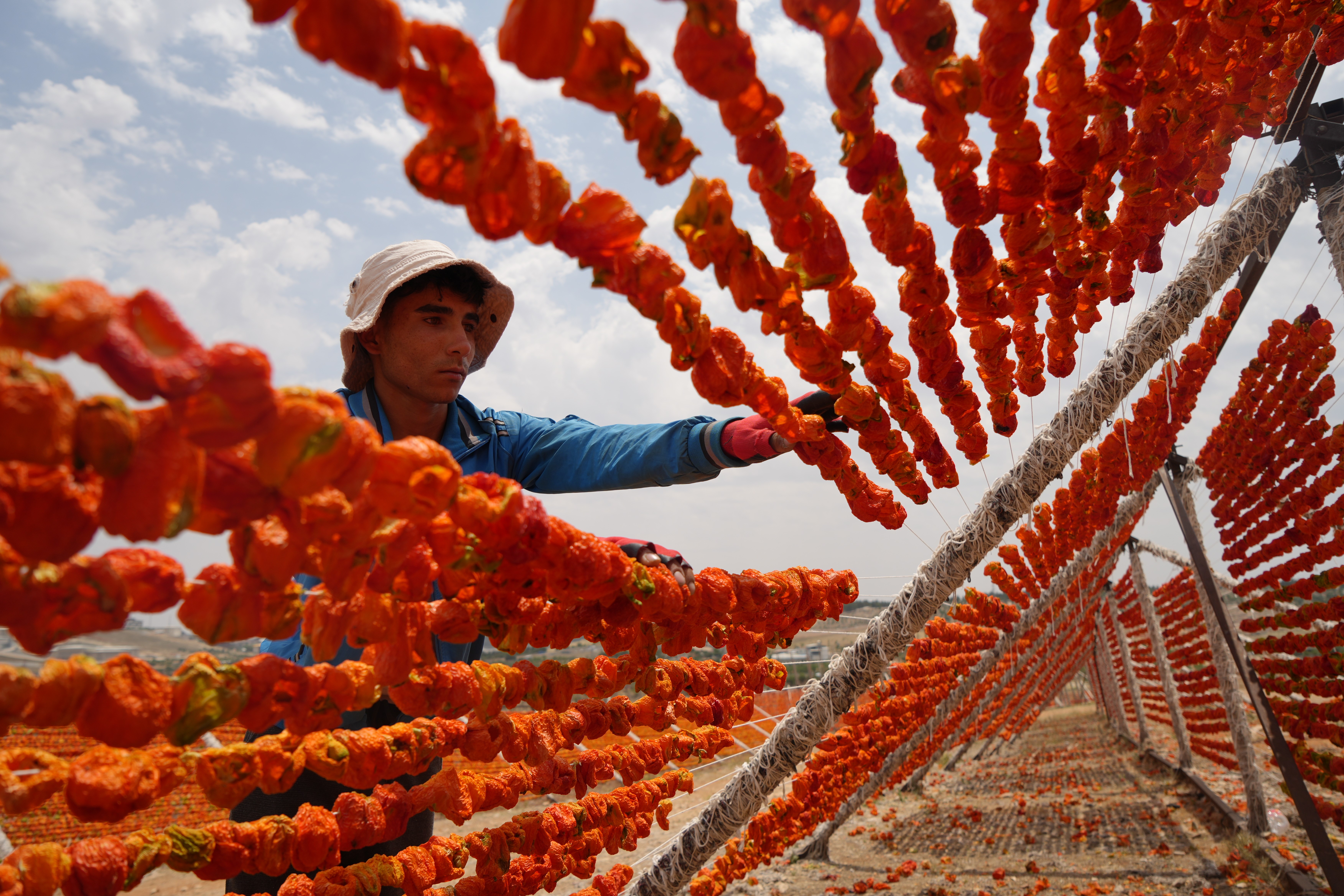 Gaziantep'te kurutmalık sezonu başladı
