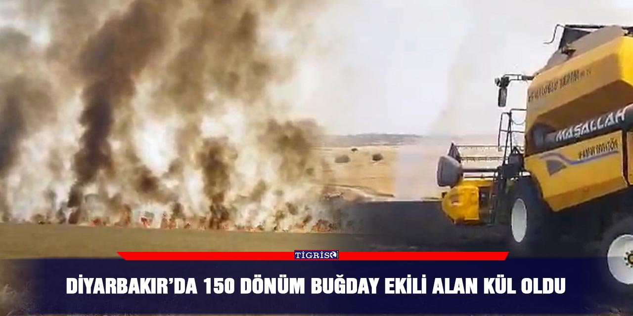 Diyarbakır’da 150 dönüm buğday ekili alan kül oldu