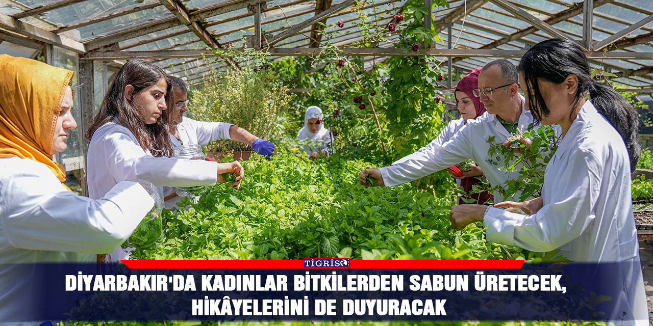 Diyarbakır'da kadınlar bitkilerden sabun üretecek, hikâyelerini de duyuracak