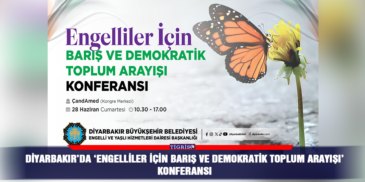 Diyarbakır’da ‘Engelliler İçin Barış ve Demokratik Toplum Arayışı’ konferansı