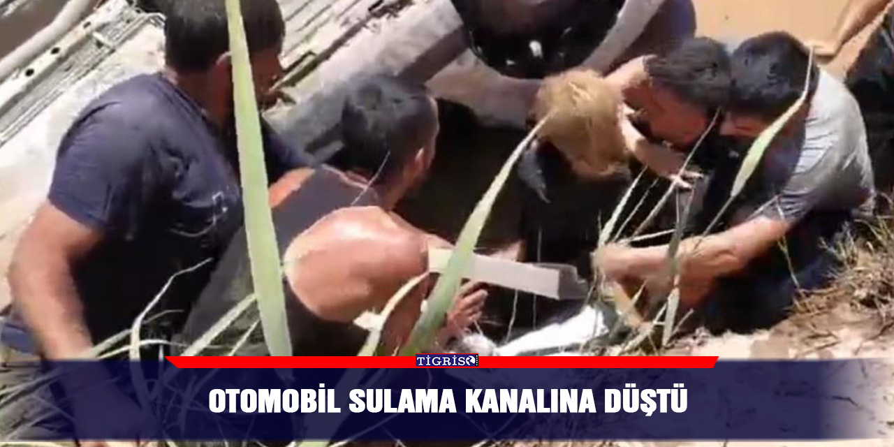 Otomobil sulama kanalına düştü