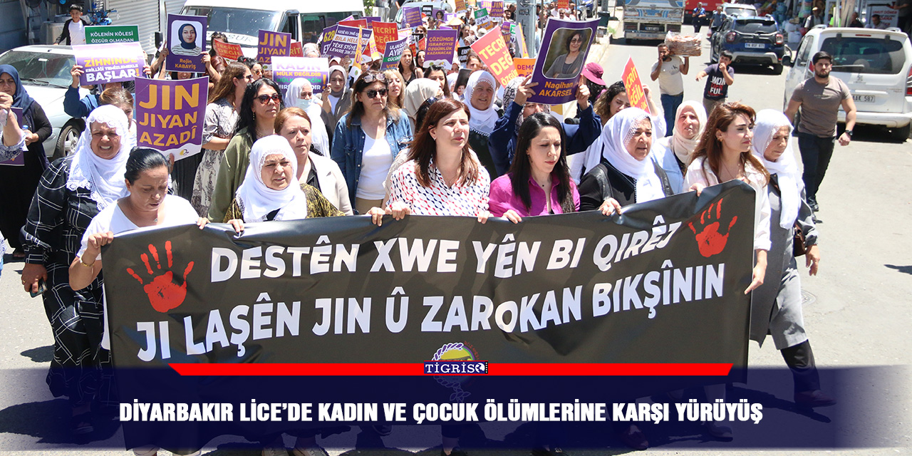Diyarbakır Lice’de kadın ve çocuk ölümlerine karşı yürüyüş