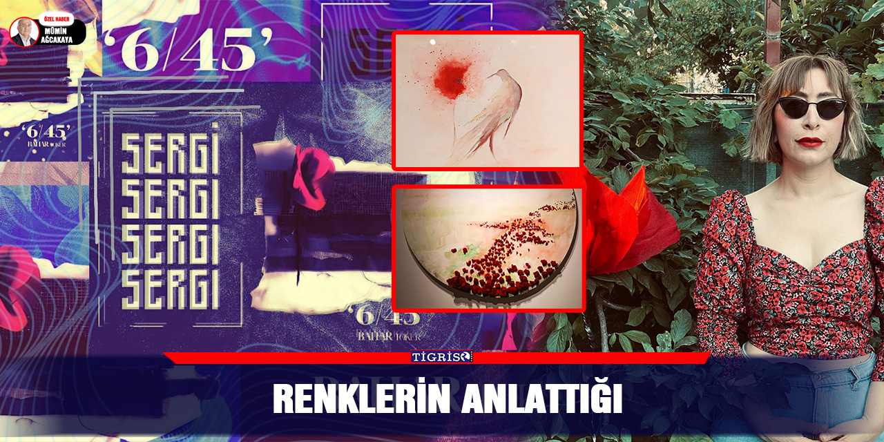 Renklerin Anlattığı