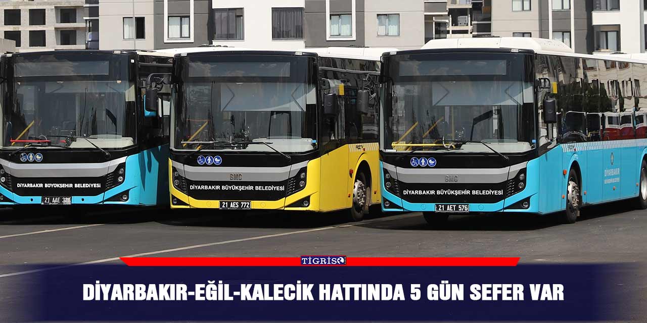 Diyarbakır-Eğil-Kalecik hattında 5 gün sefer var