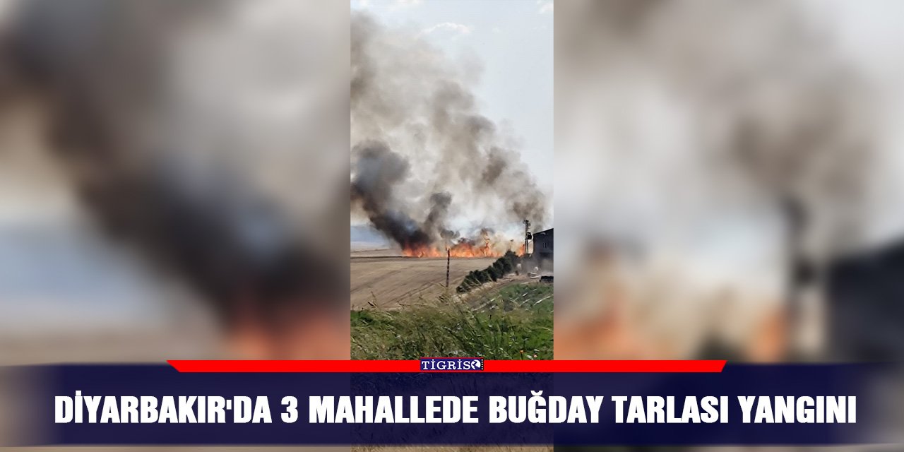 Diyarbakır'da 3 mahallede buğday tarlası yangını