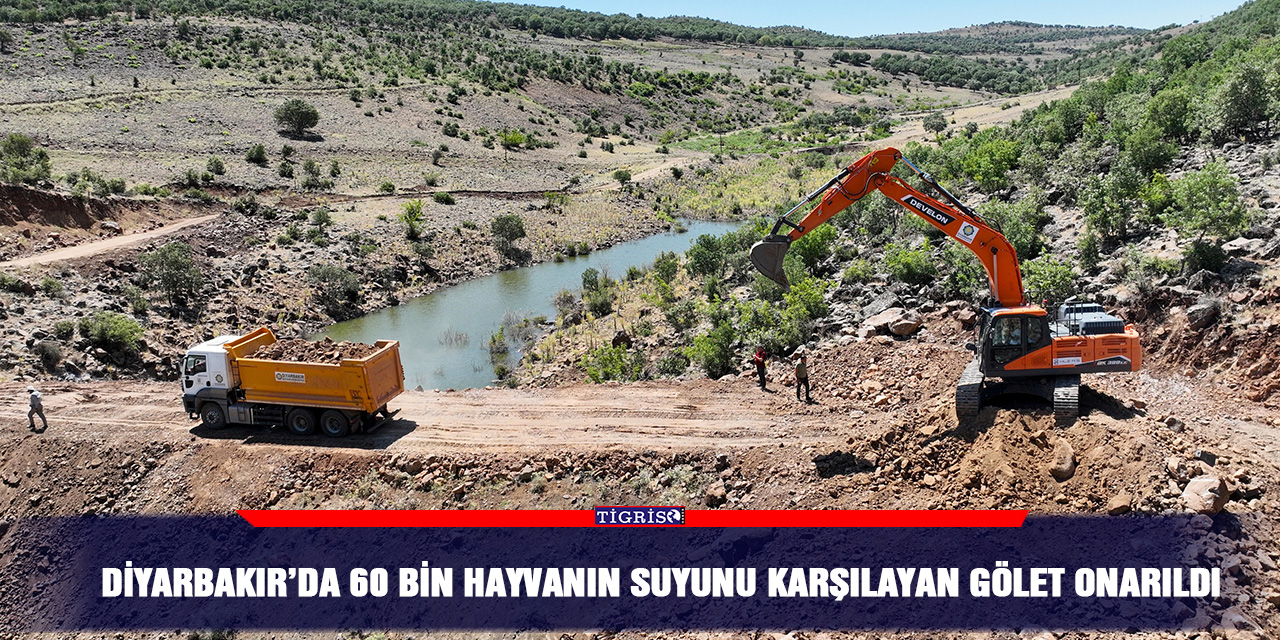 Diyarbakır’da 60 bin hayvanın suyunu karşılayan gölet onarıldı