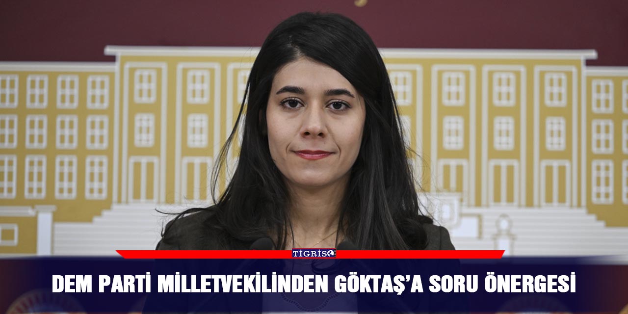 DEM Parti Milletvekilinden Göktaş’a soru önergesi