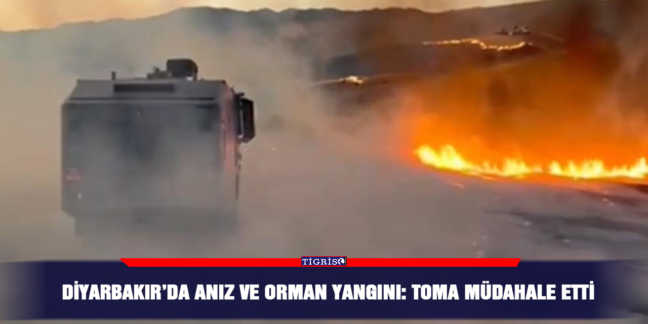 Diyarbakır’da anız ve orman yangını: TOMA müdahale etti