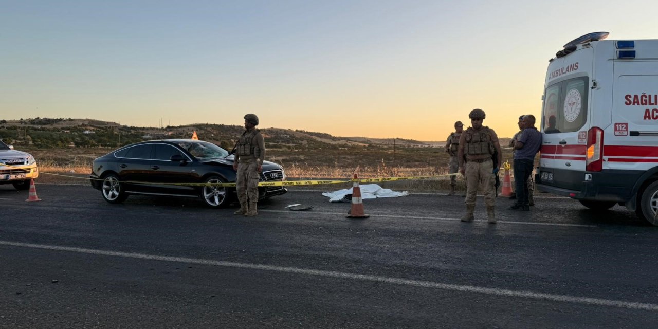 Diyarbakır'da karşıya geçmeye çalışan çifte otomobil çarptı: 1 ölü, 1 yaralı