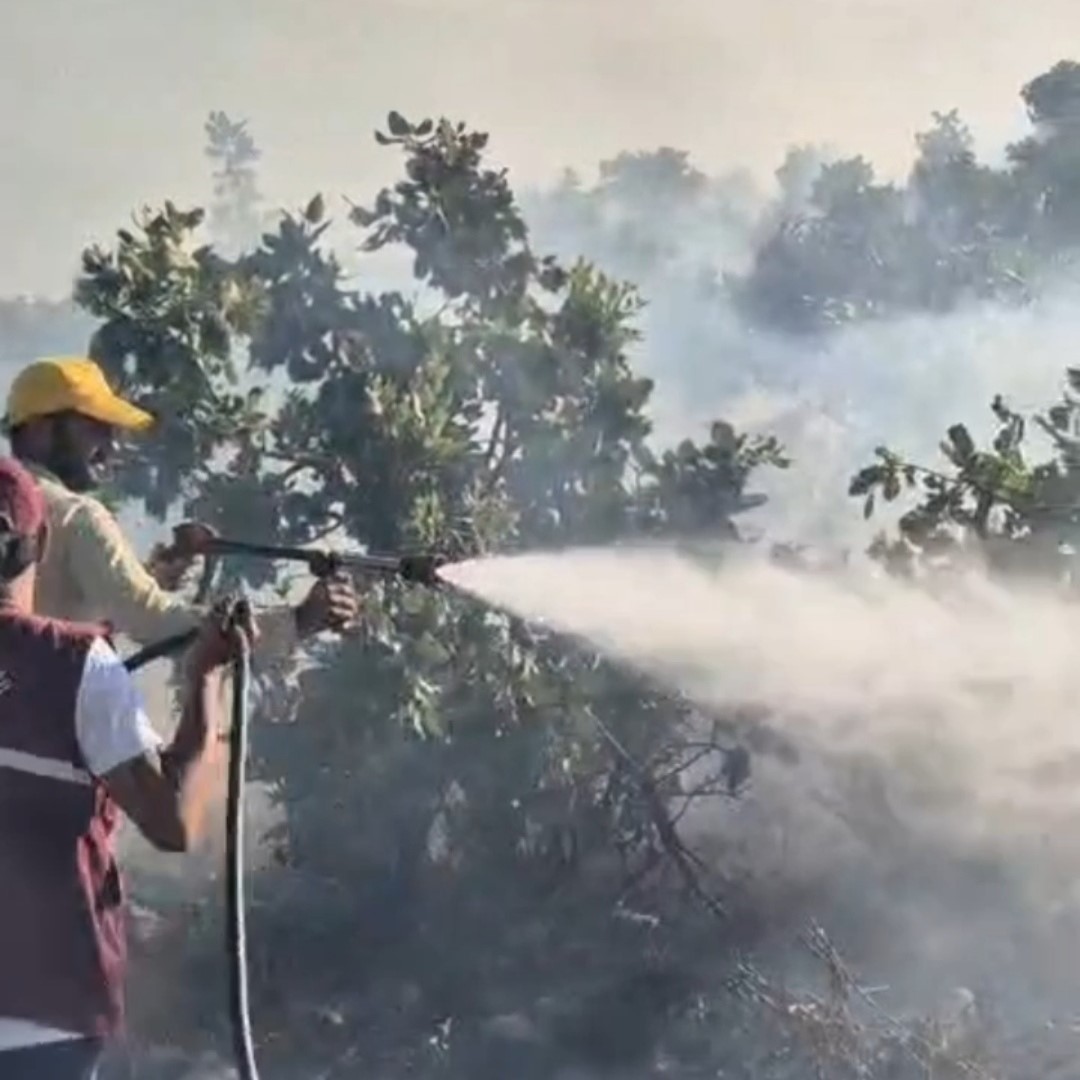 Siirt'te çıkan örtü yangını söndürüldü
