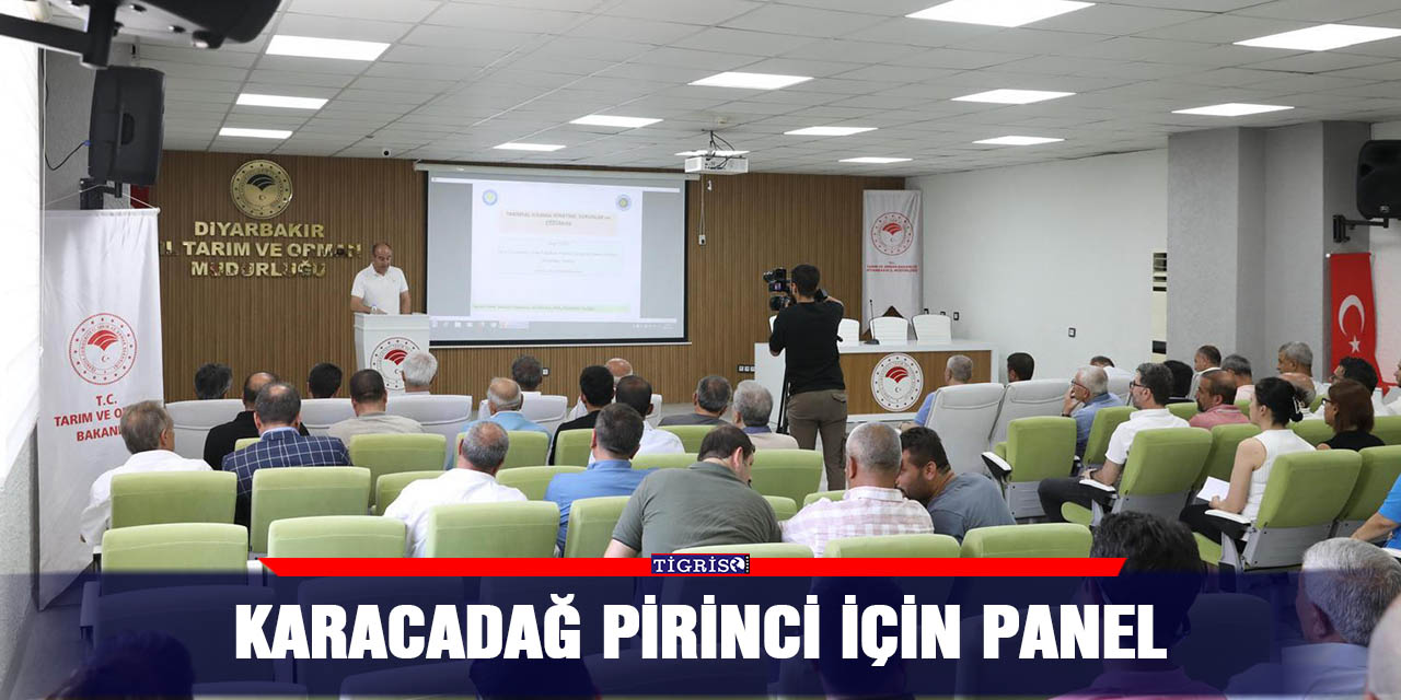 Karacadağ pirinci için panel