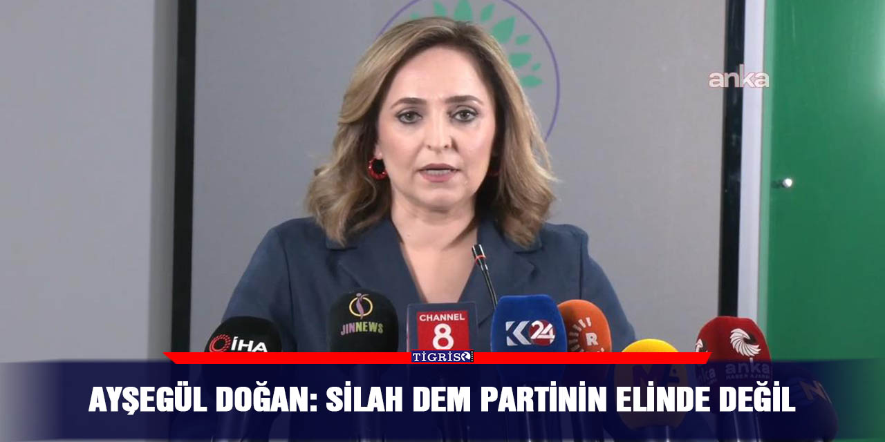Ayşegül Doğan: Silah DEM partinin elinde değil