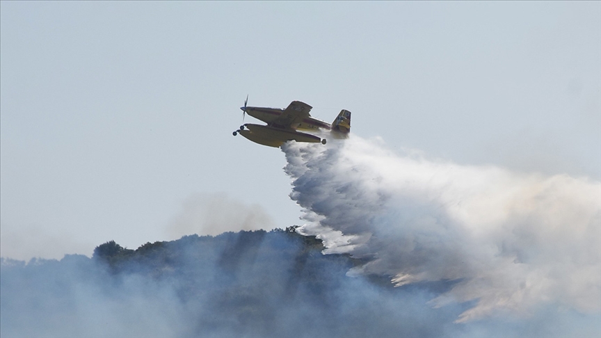 Orman yangınları ile ilgili 11 şüpheliye gözaltı
