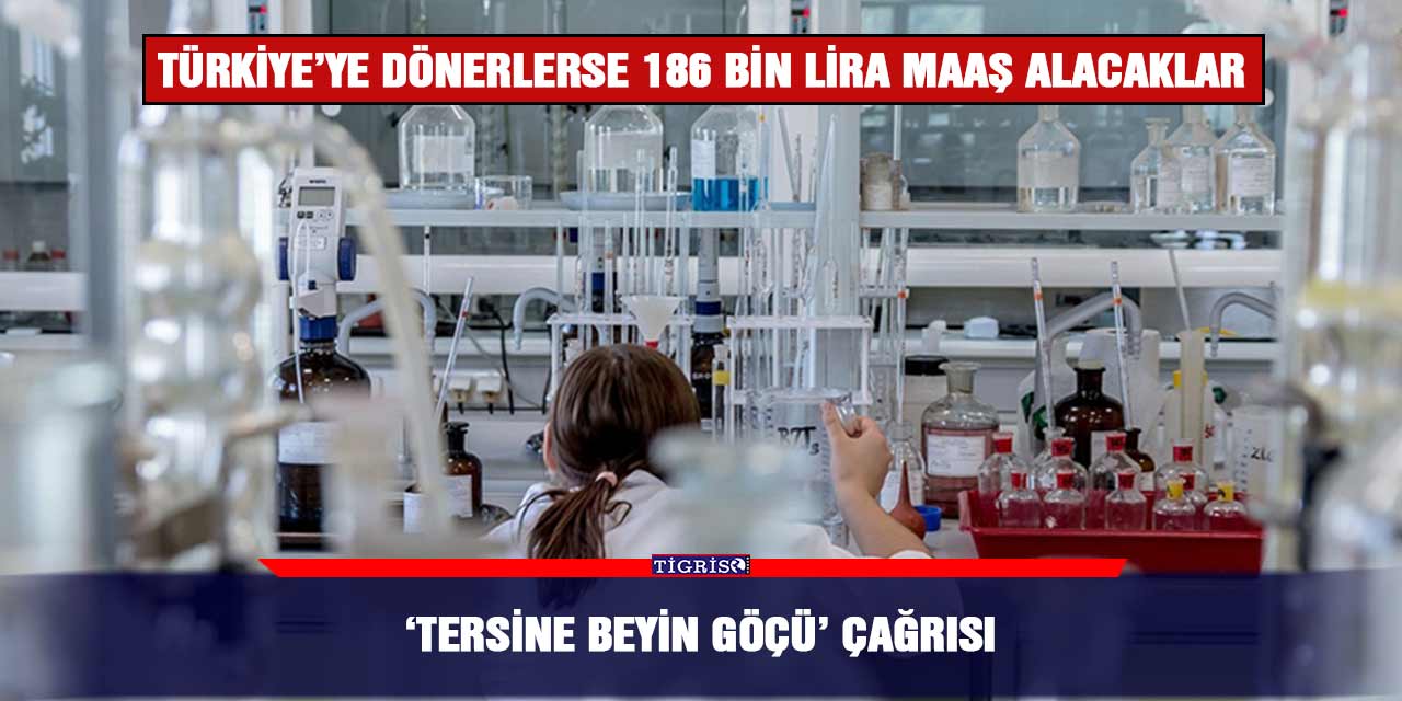 ‘Tersine beyin göçü’ çağrısı: Türkiye’ye dönerlerse 186 bin lira maaş alacaklar