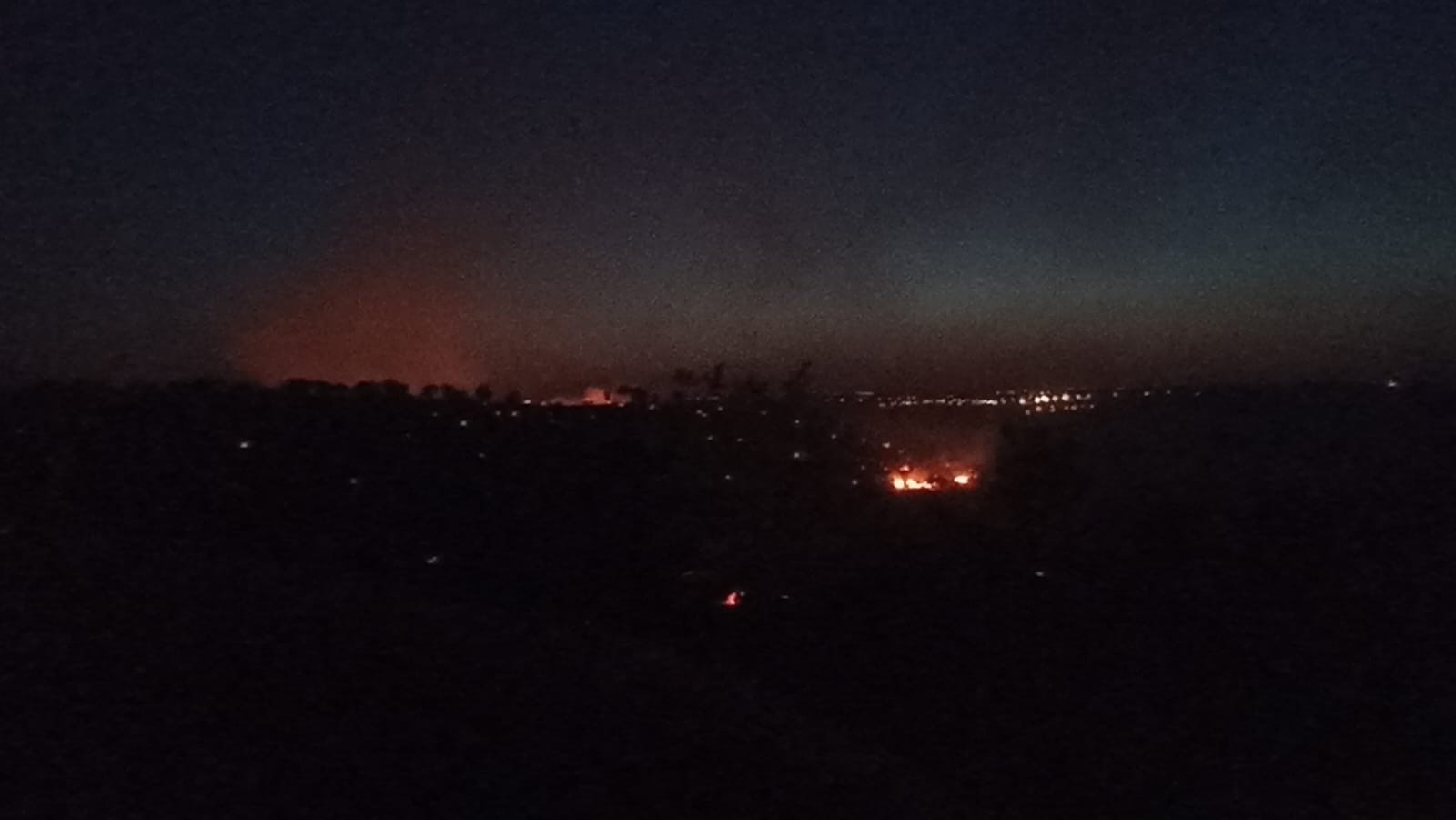 Nusaybin’de orman yangını