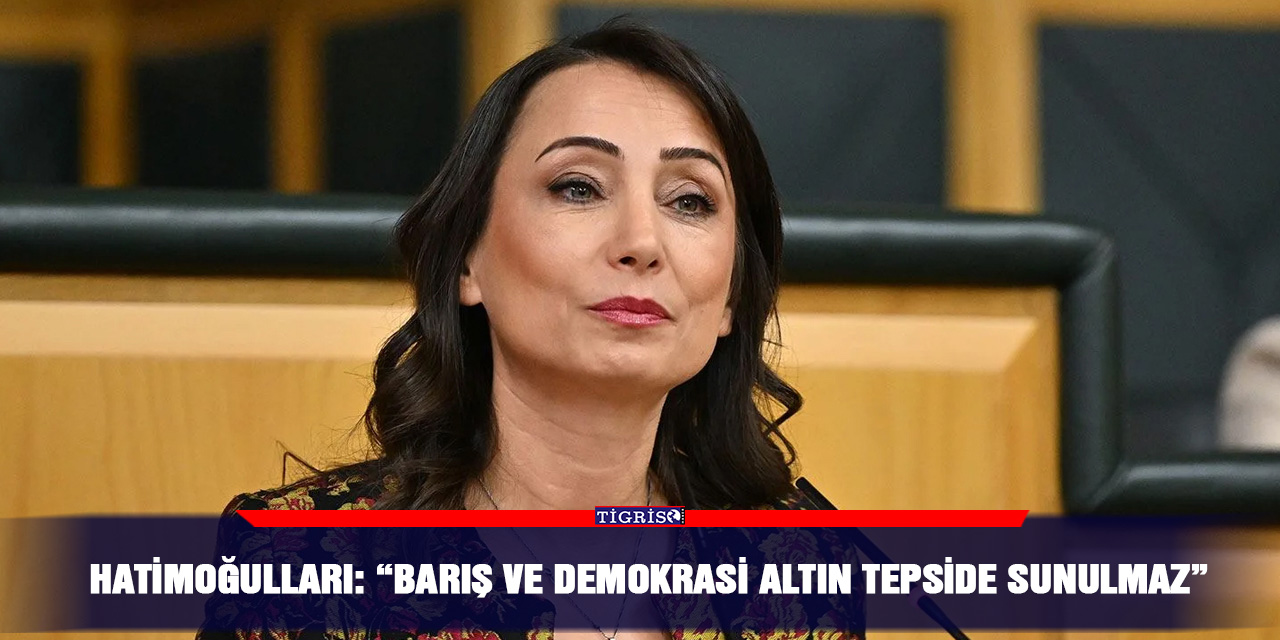 Hatimoğulları: “Barış ve Demokrasi altın tepside sunulmaz”