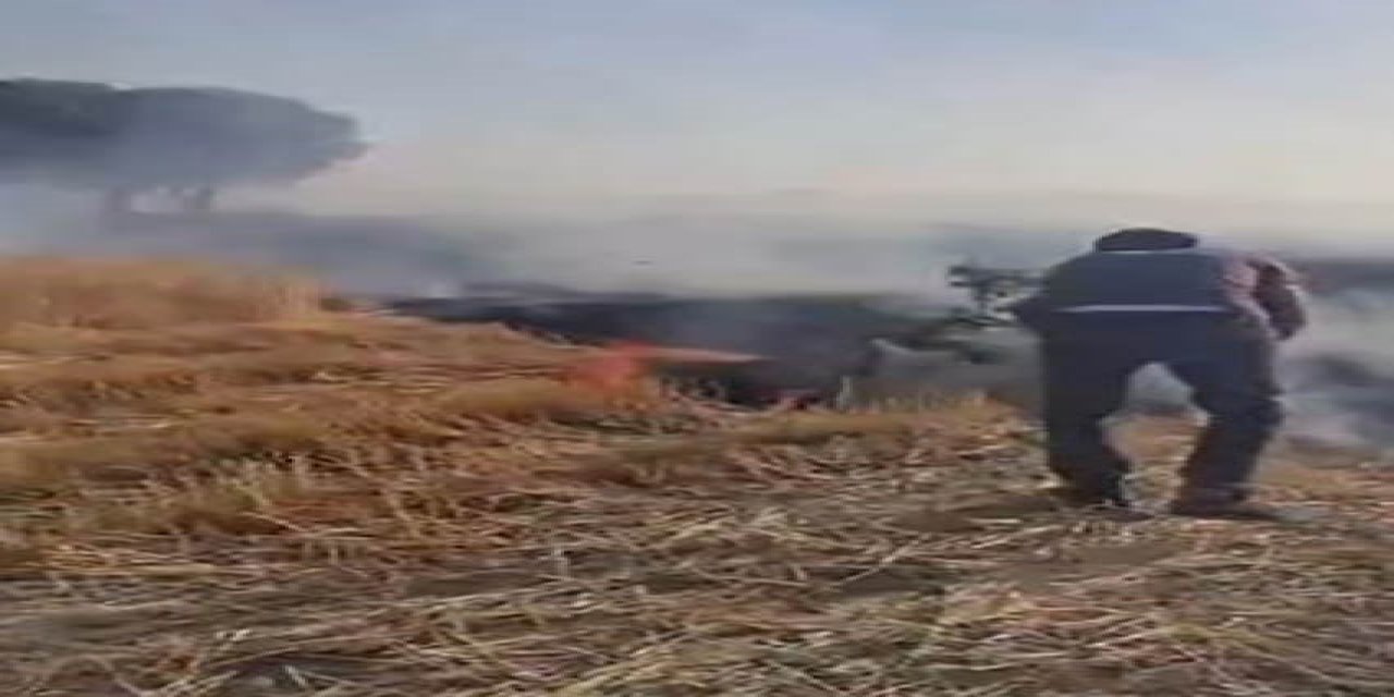 Diyarbakır'da yurttaşlar ağaç dallarıyla orman yangını söndürmeye çalıştı