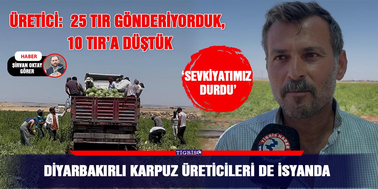 VİDEO - Diyarbakırlı karpuz üreticileri de isyanda