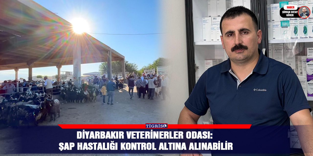 Diyarbakır Veterinerler Odası: Şap hastalığı kontrol altına alınabilir