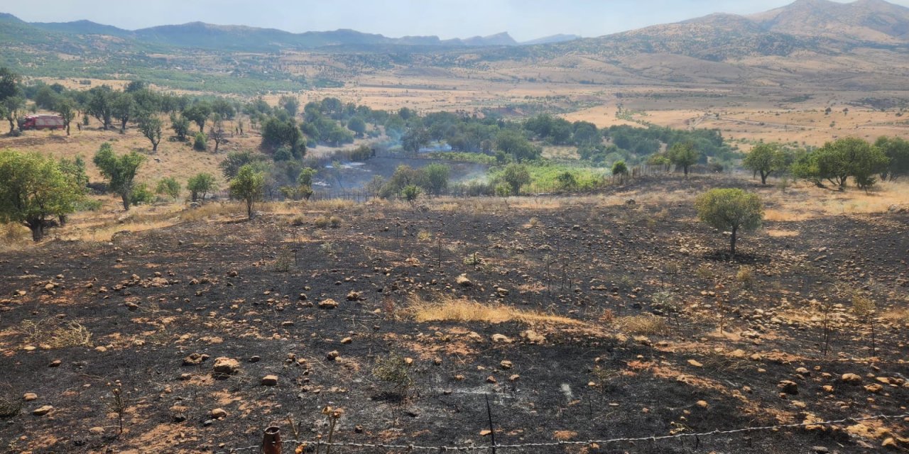 Diyarbakır'ın 3 ilçesinde orman yangını