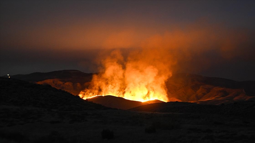 California eyaletinde yangın 29 bin hektardan fazla alana yayıldı
