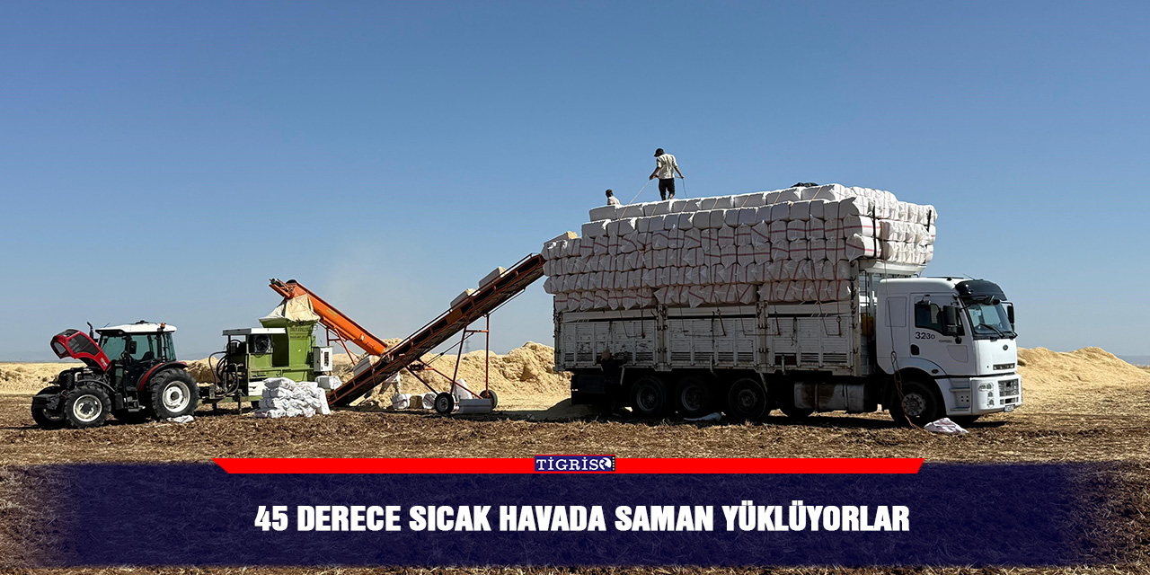 45 derece sıcak havada saman yüklüyorlar