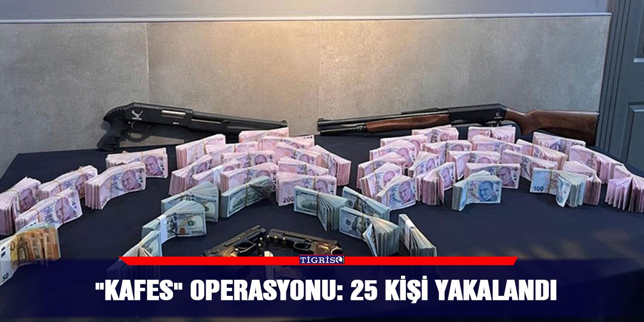 "Kafes" operasyonu: 25 kişi yakalandı