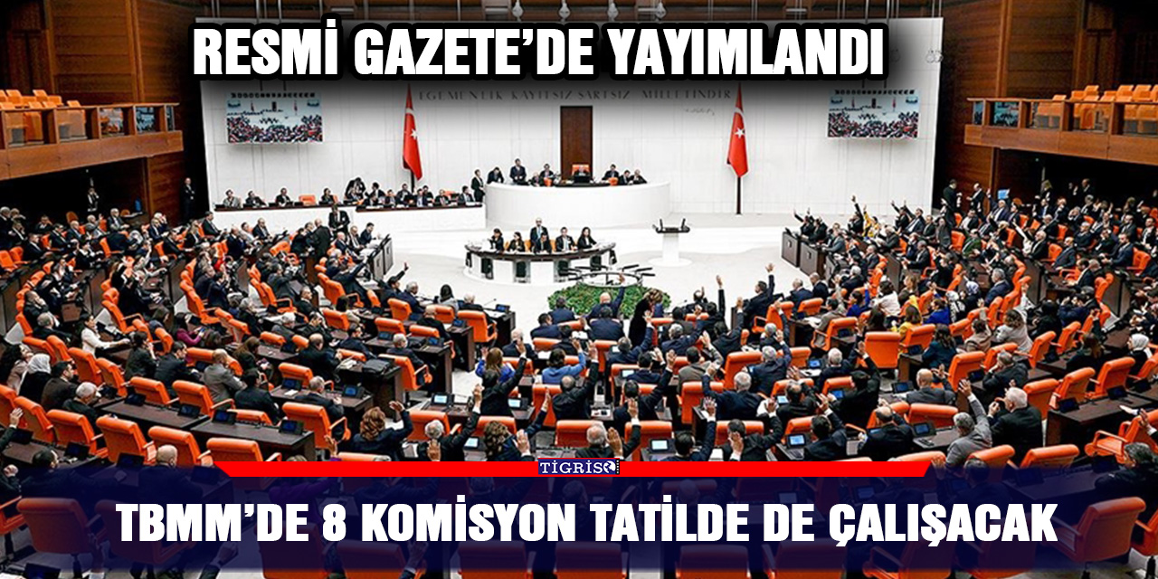TBMM’de 8 komisyon tatilde de çalışacak