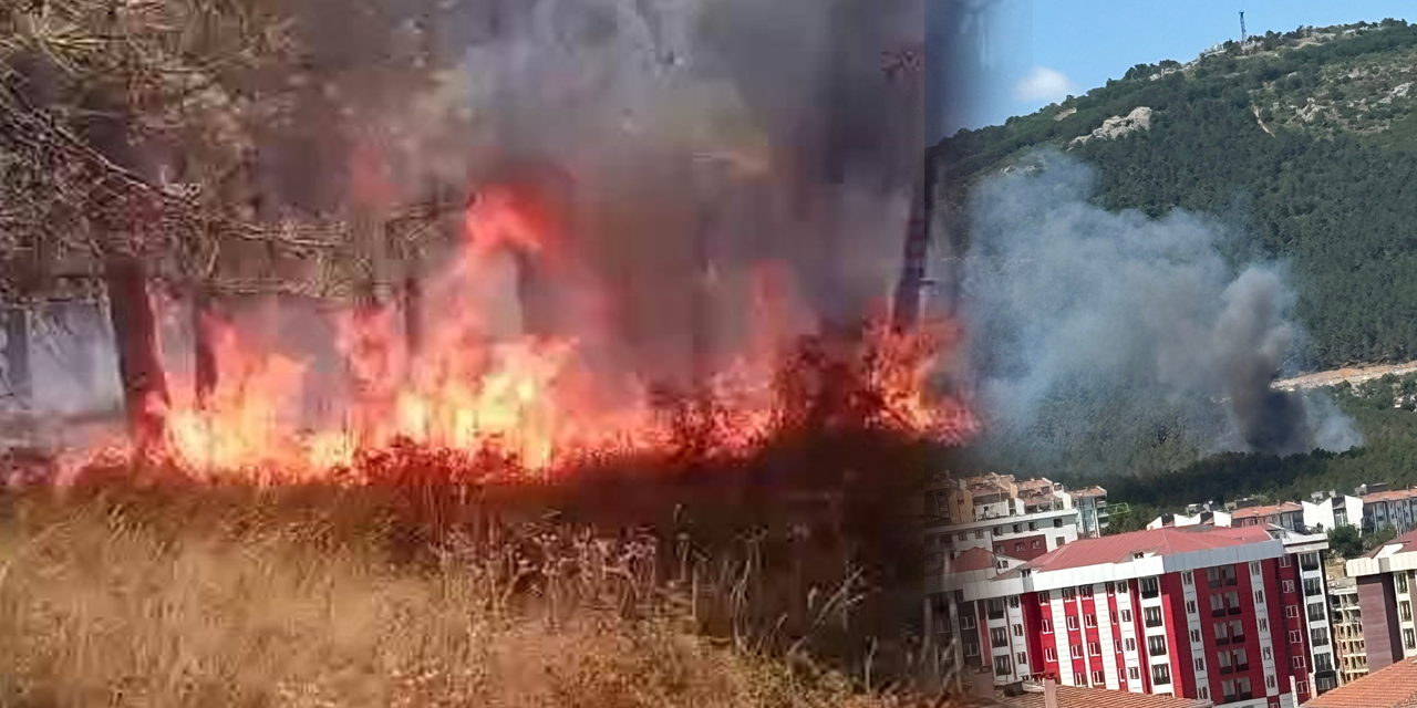 İstanbul orman yangını: Yerleşim yerlerine tehlikeli yakınlık