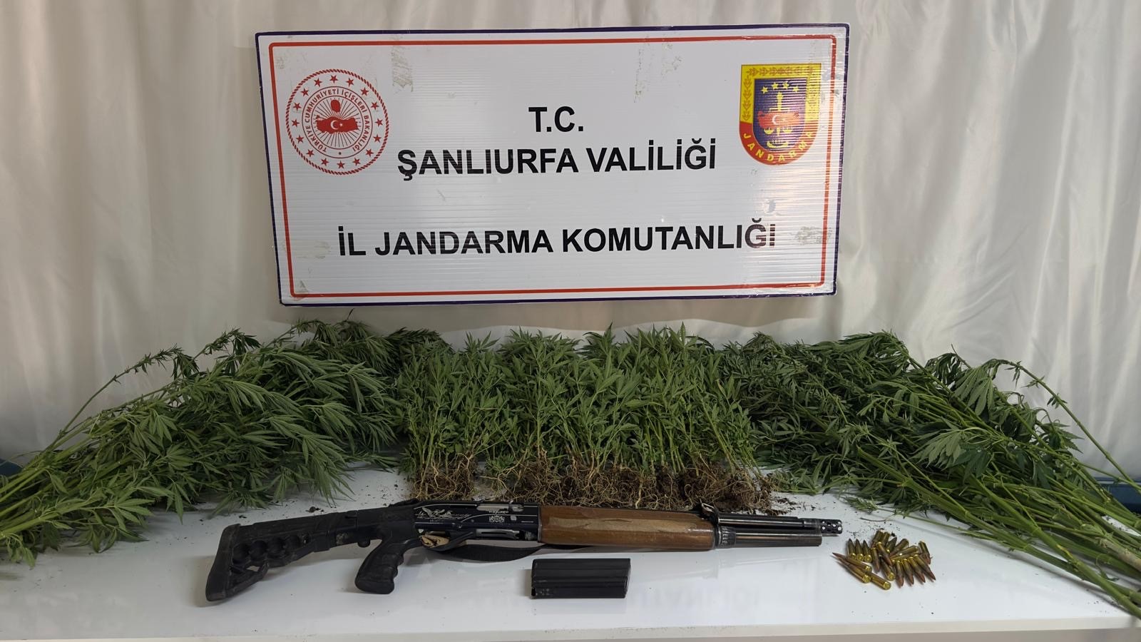 Jandarmadan uyuşturucu operasyonu