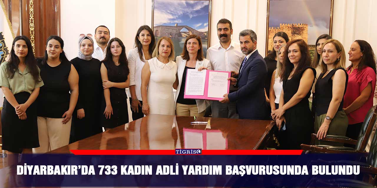 Diyarbakır’da 733 kadın adli yardım başvurusunda bulundu